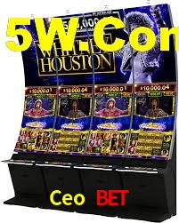 Roulette Table Ceo Bet